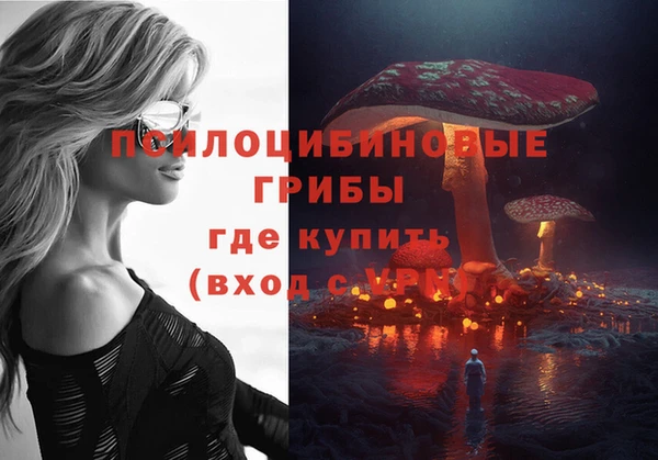 дурь Богородицк